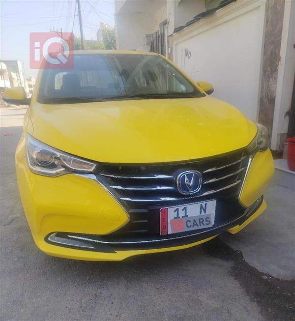 شانجان السفن 2024 للبيع في العراق - رشيد